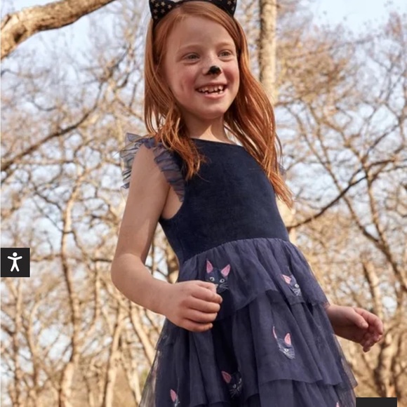 NWT Mini Boden Tulle Appliqué Dress